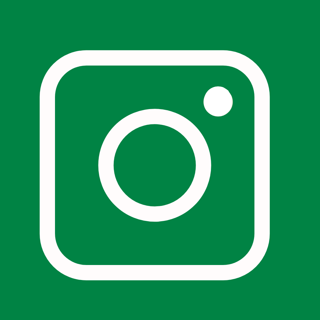 Green App Icon Instagram