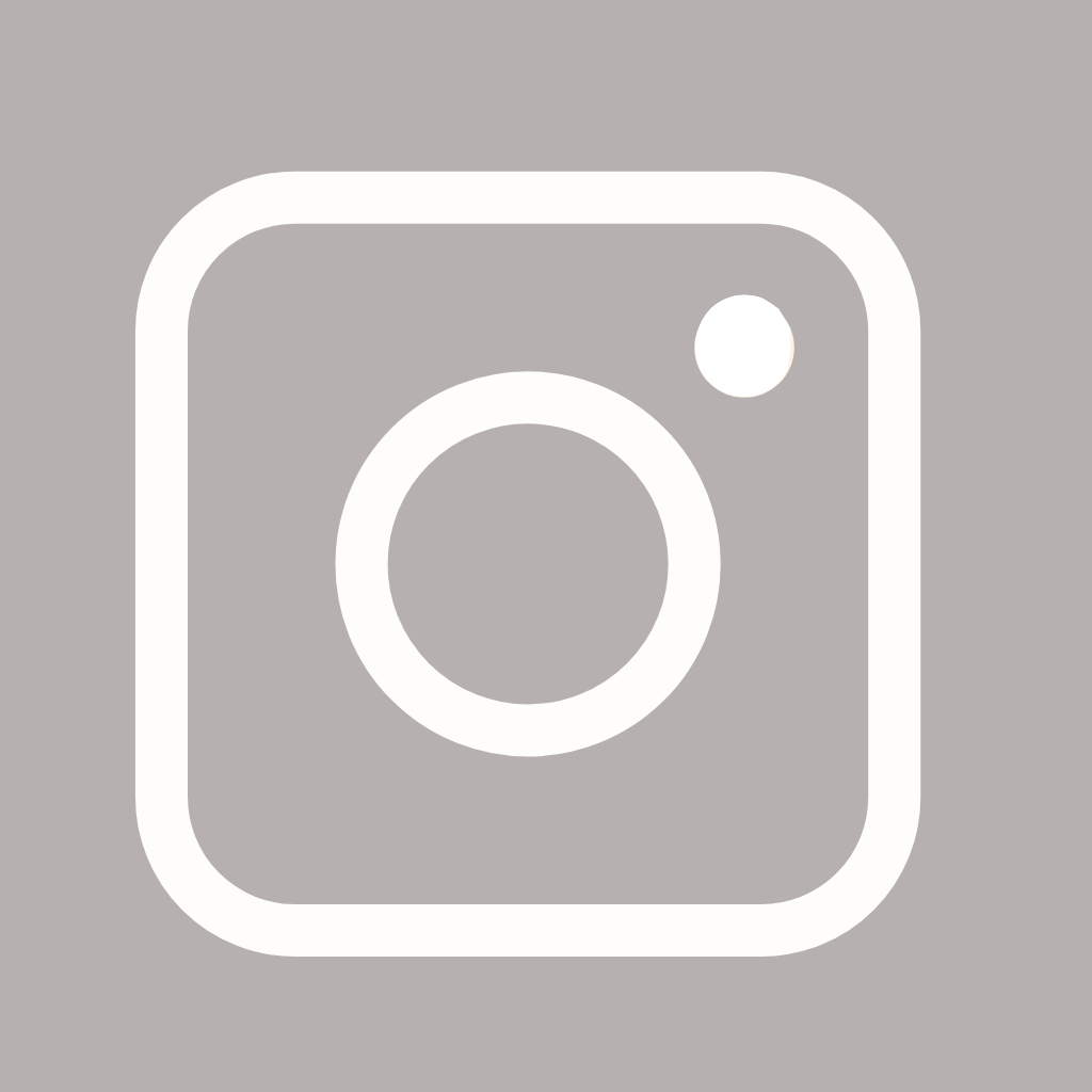 Grey App Icon Instagram