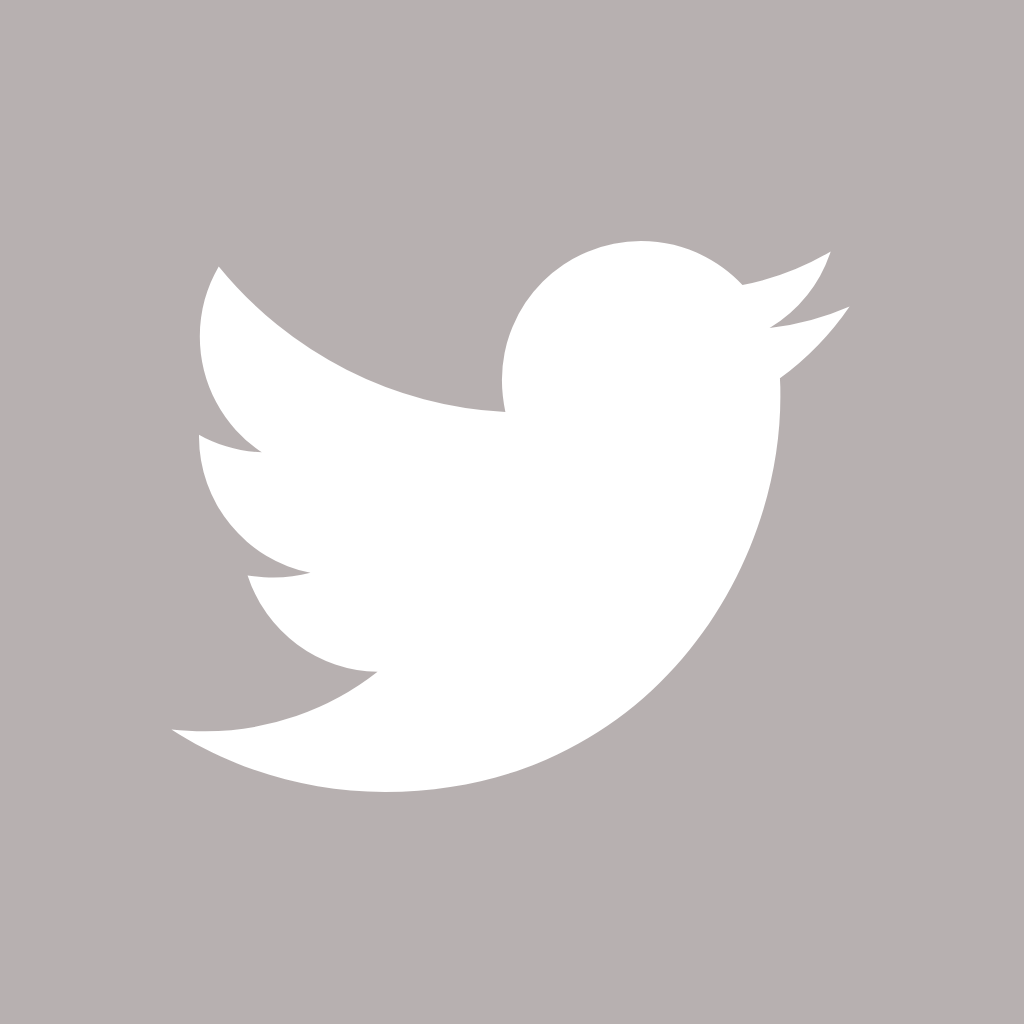 Grey App Icon Twitter Old