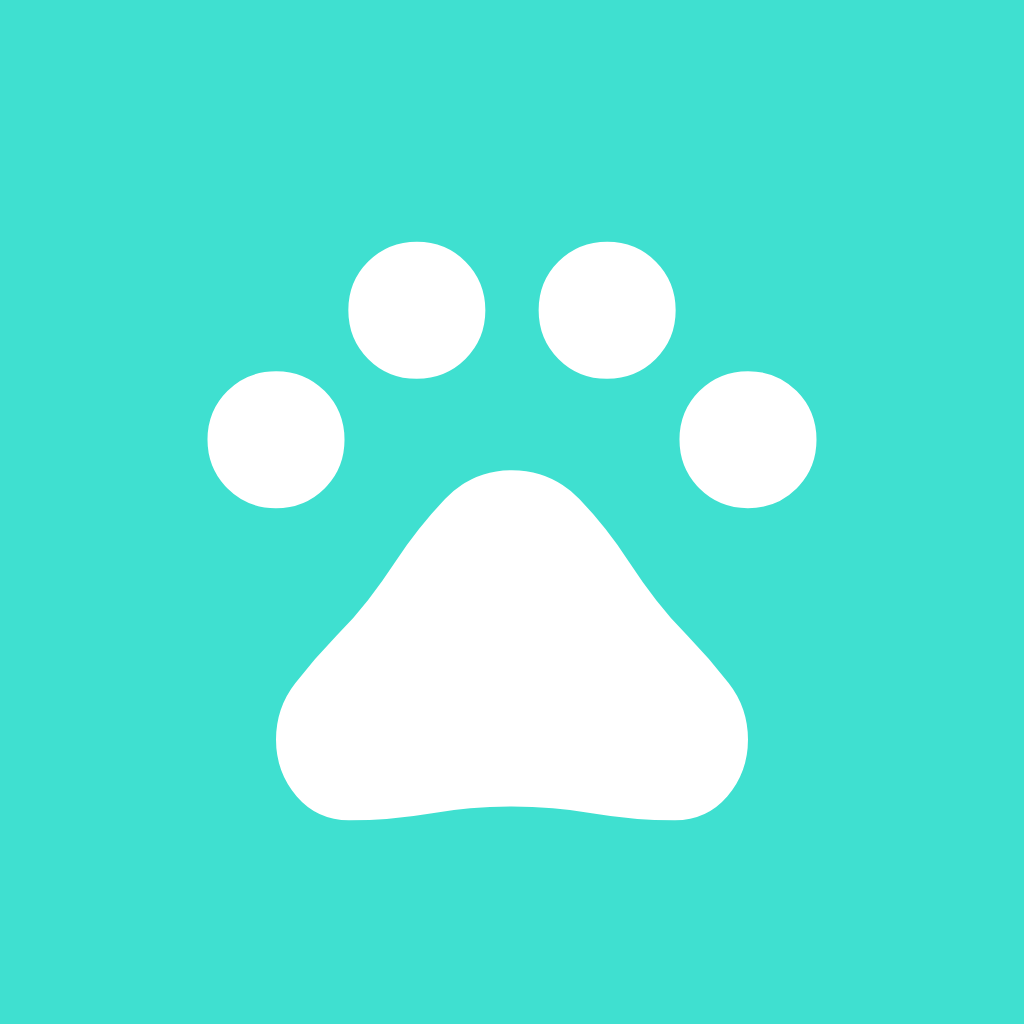 Turquoise App Icon Pet