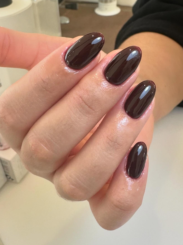 Polished Plum Noir Nails